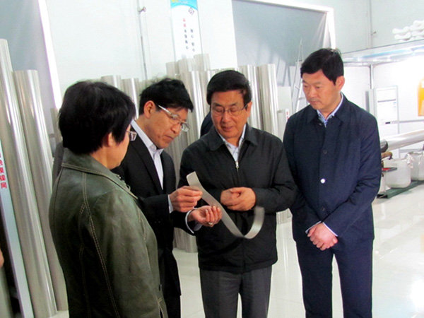 省委副書記 代省長林鐸攜市委班子來我司調研1